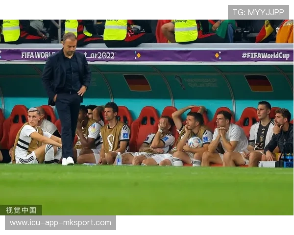 弗里克相关动态：伤情更新解读